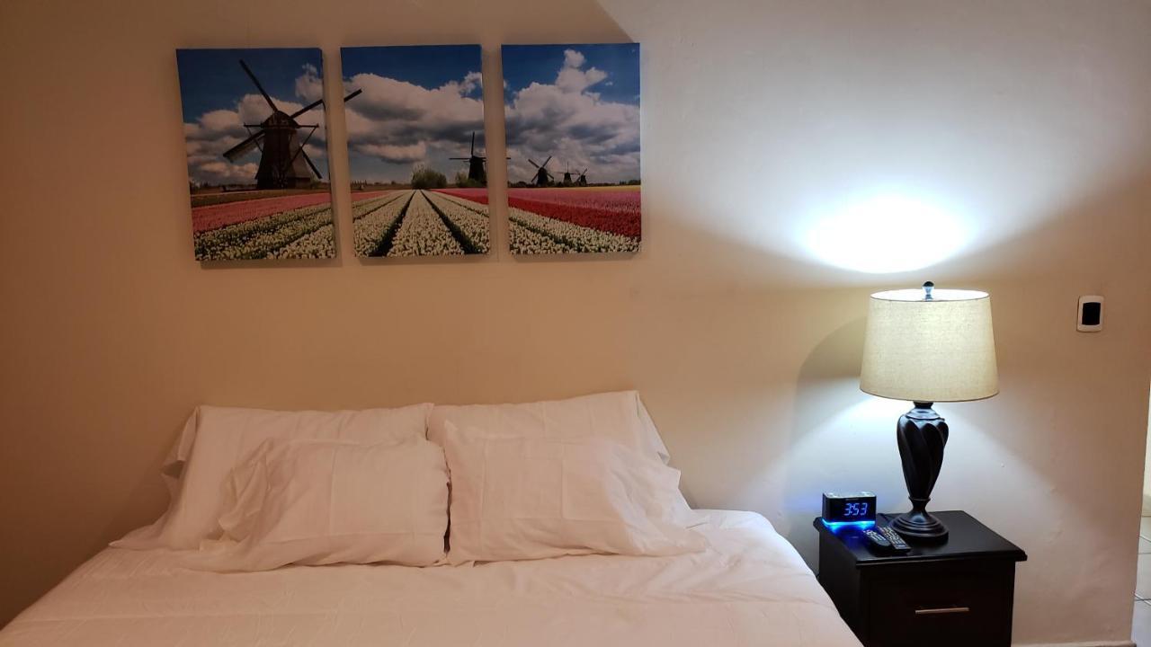 Domus Hotel 산살바도르 외부 사진