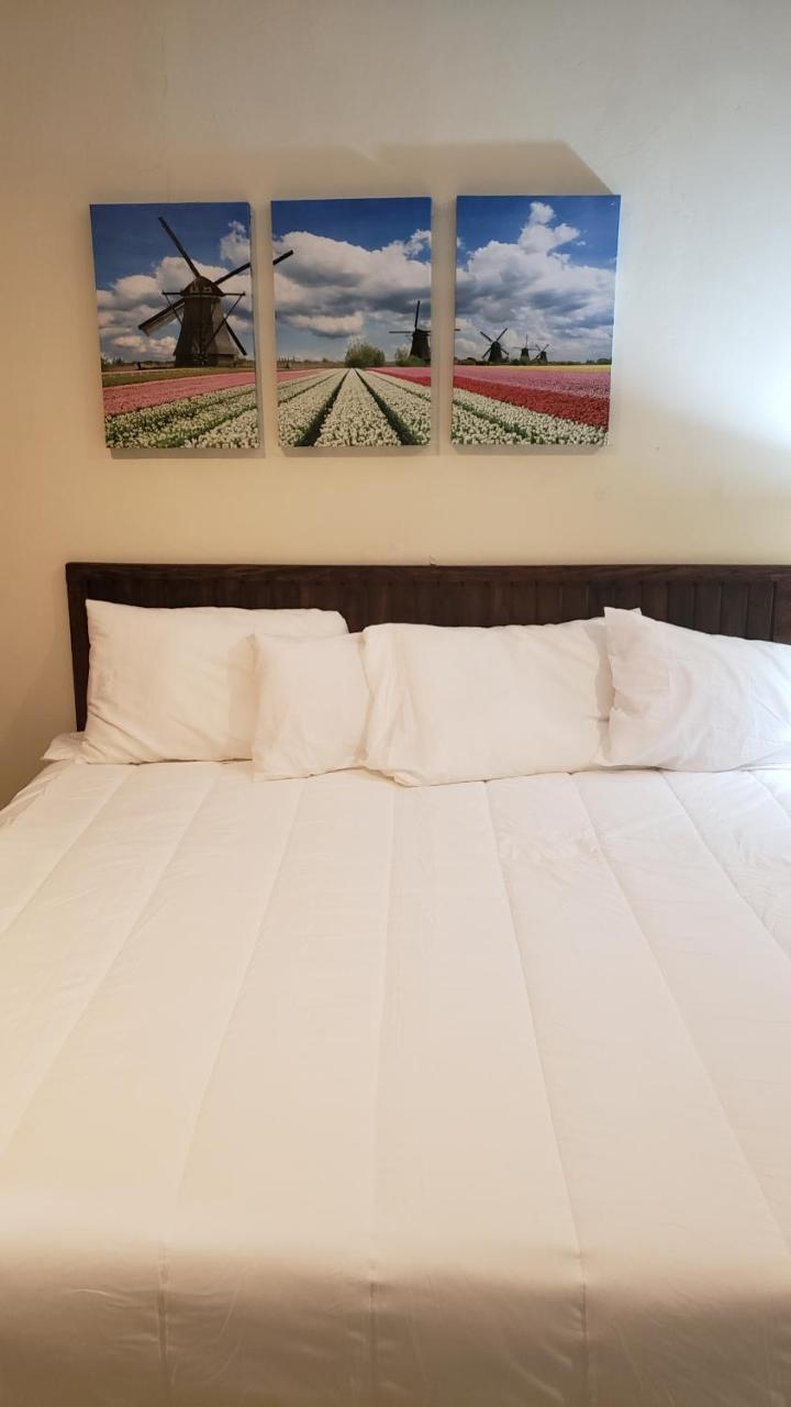 Domus Hotel 산살바도르 외부 사진